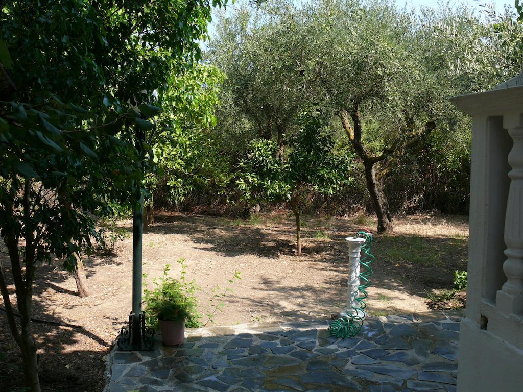 Areti Orfeas Studios Vasilikí Exteriér fotografie